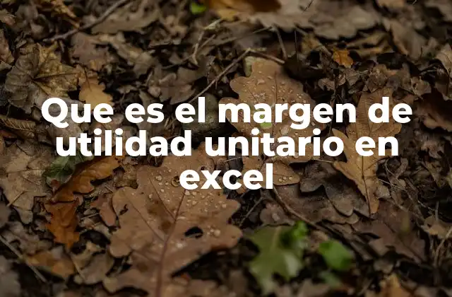 Que es el Margen de Utilidad Unitario en Excel