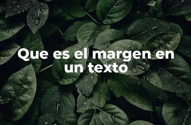 Que es el Margen en un Texto