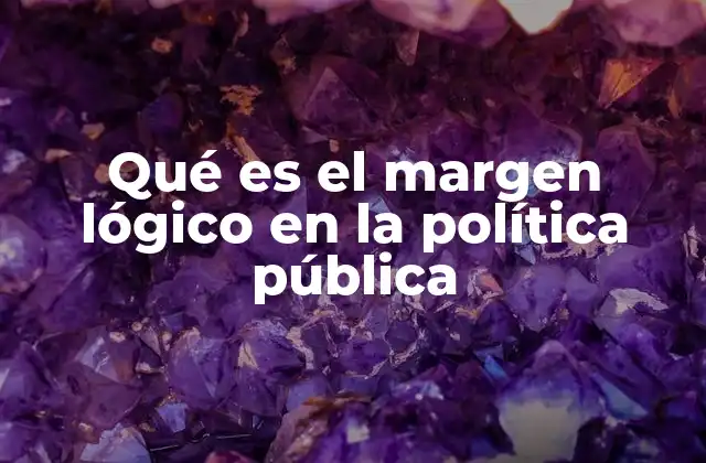 Qué es el Margen Lógico en la Política Pública