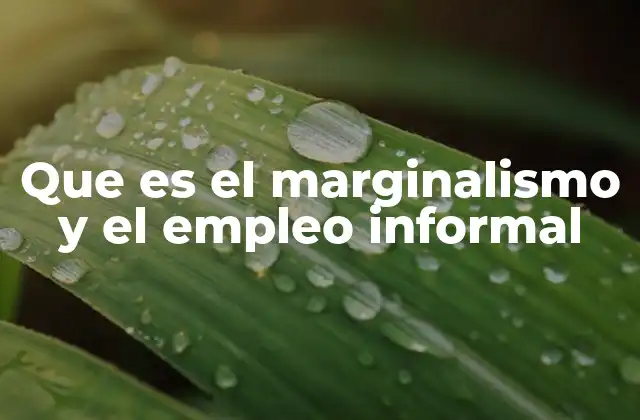 Que es el Marginalismo y el Empleo Informal