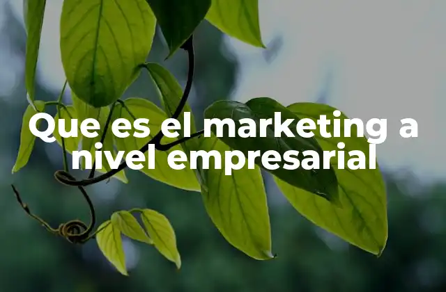 Que es el Marketing a Nivel Empresarial 2 El rol del marketing en la estrategia empresarial