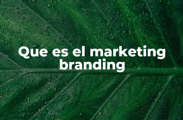Que es el Marketing Branding