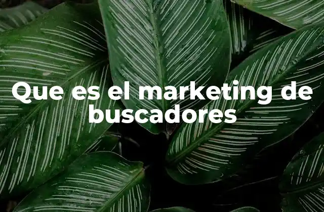 Que es el Marketing de Buscadores