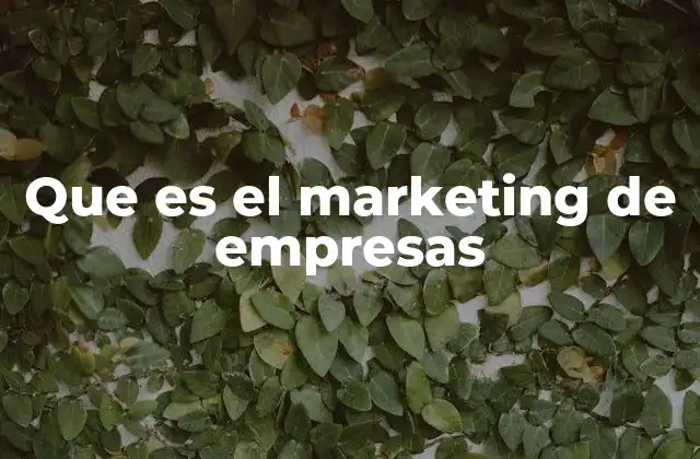 Que es el Marketing de Empresas