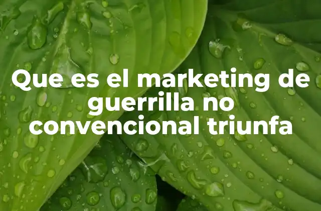 Que es el Marketing de Guerrilla No Convencional Triunfa