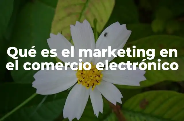 Qué es el Marketing en el Comercio Electrónico