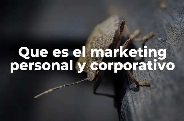 Que es el Marketing Personal y Corporativo