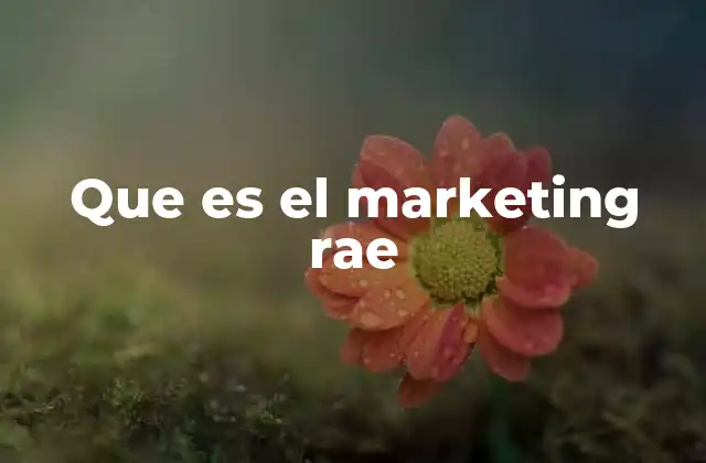Que es el Marketing Rae