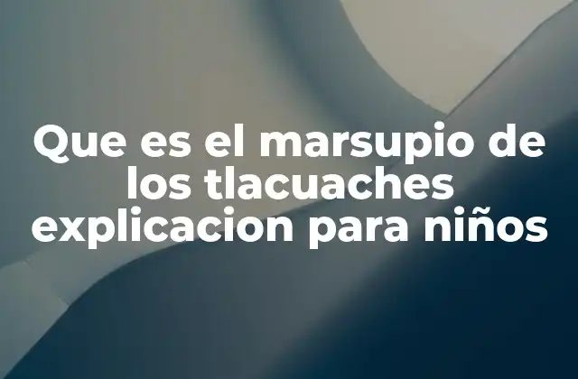 Que es el Marsupio de los Tlacuaches Explicacion para Niños