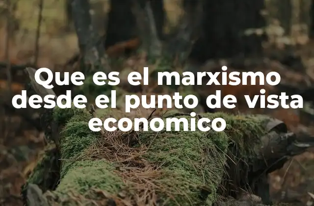 Que es el Marxismo desde el Punto de Vista Economico