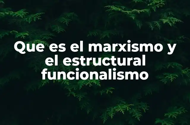Que es el Marxismo y el Estructural Funcionalismo