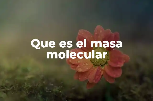 Que es el Masa Molecular