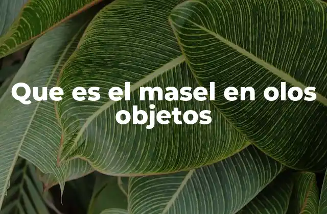 Que es el Masel en Olos Objetos