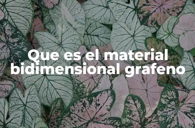 Que es el Material Bidimensional Grafeno