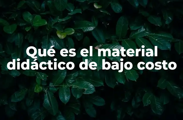 Qué es el Material Didáctico de bajo Costo
