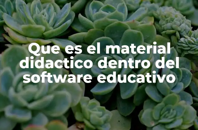 Que es el Material Didactico Dentro Del Software Educativo