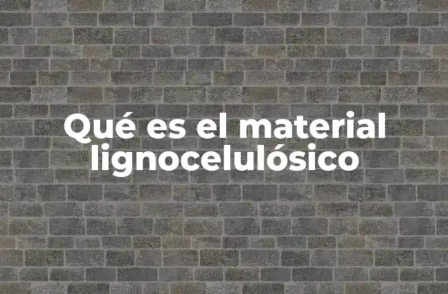 Qué es el Material Lignocelulósico 2 Estructura y propiedades de los compuestos lignocelulósicos