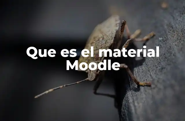 Que es el Material Moodle