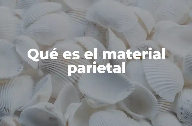 Qué es el Material Parietal