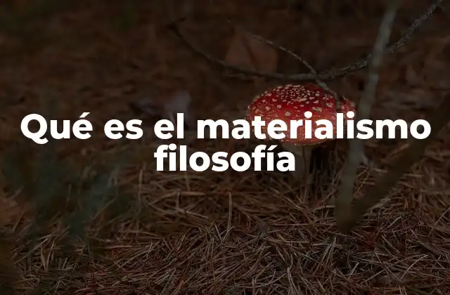 Qué es el Materialismo Filosofía