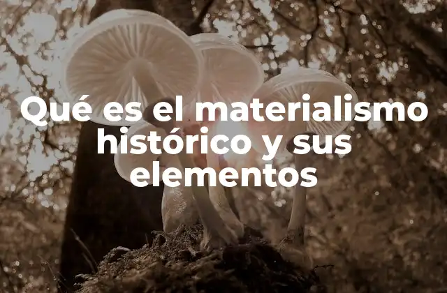 Qué es el Materialismo Histórico y Sus Elementos