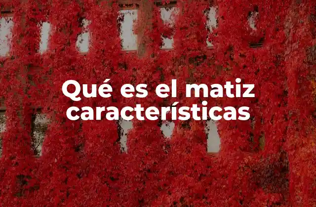 Qué es el Matiz Características
