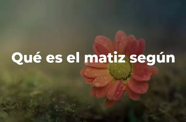 Qué es el Matiz según