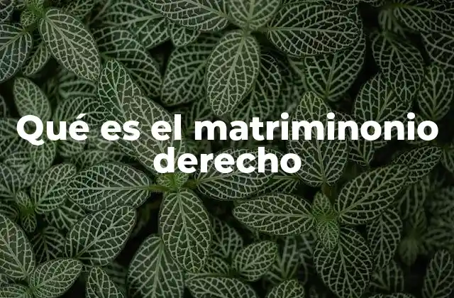 Qué es el Matriminonio Derecho