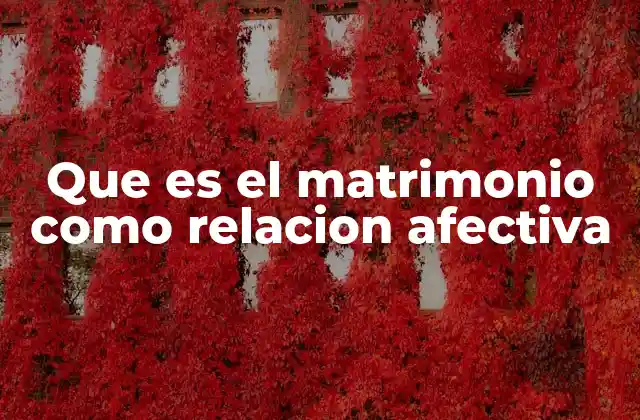 Que es el Matrimonio como Relacion Afectiva