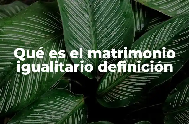 Qué es el Matrimonio Igualitario Definición 2 La evolución del matrimonio en la sociedad moderna