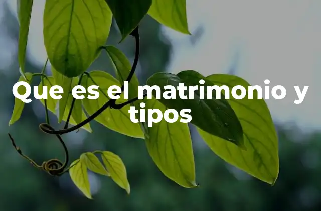 Que es el Matrimonio y Tipos