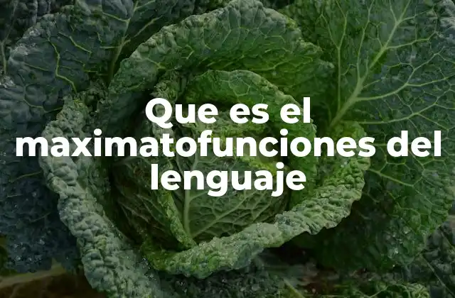 Que es el Maximatofunciones Del Lenguaje