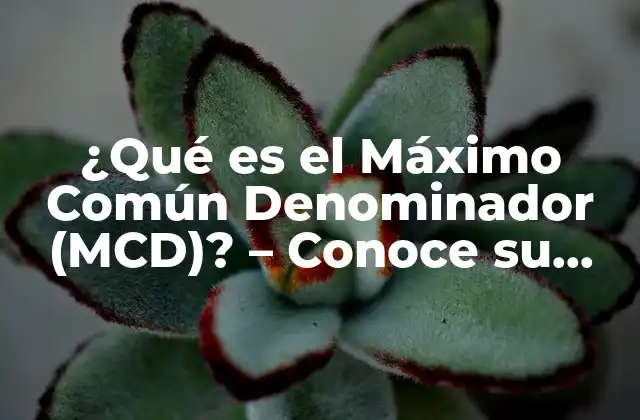 ¿qué es el Máximo Común Denominador (mcd)? – Conoce Su Definición y Uso