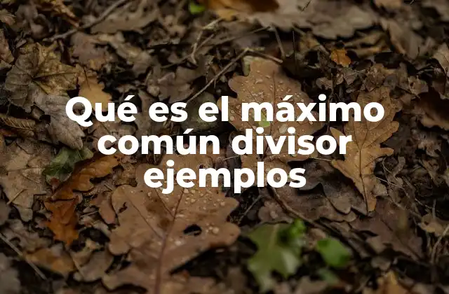 Qué es el Máximo Común Divisor Ejemplos