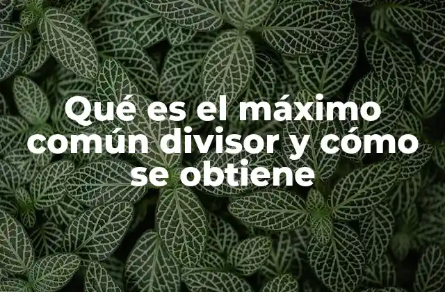 Qué es el Máximo Común Divisor y Cómo Se Obtiene