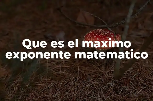 Que es el Maximo Exponente Matematico