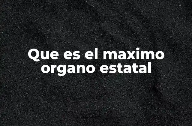 Que es el Maximo Organo Estatal