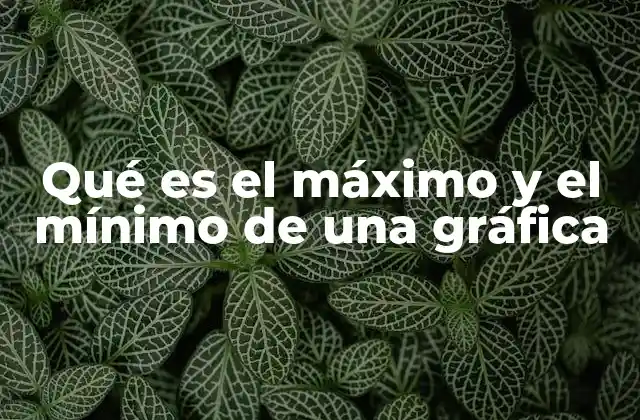 Qué es el Máximo y el Mínimo de una Gráfica