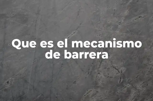 Que es el Mecanismo de Barrera 2 Funcionamiento de los mecanismos de barrera en diferentes contextos