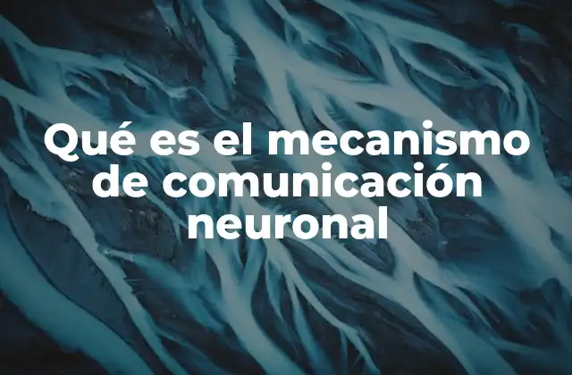 Qué es el Mecanismo de Comunicación Neuronal 2 El proceso de transmisión sináptica