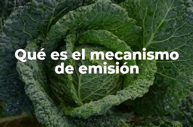Qué es el Mecanismo de Emisión