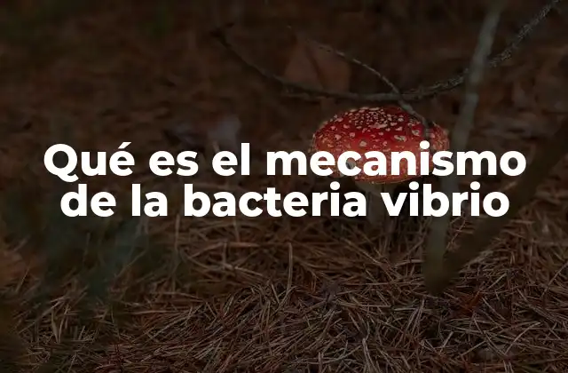 Qué es el Mecanismo de la Bacteria Vibrio