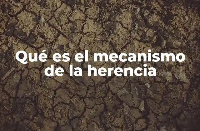 Qué es el Mecanismo de la Herencia
