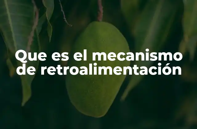 Que es el Mecanismo de Retroalimentación