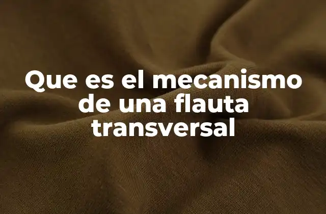 Que es el Mecanismo de una Flauta Transversal