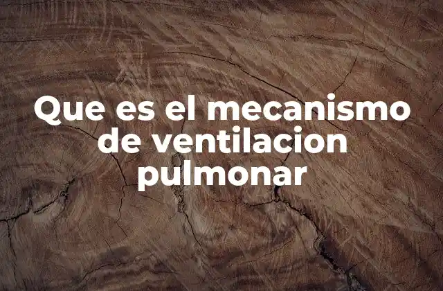Que es el Mecanismo de Ventilacion Pulmonar
