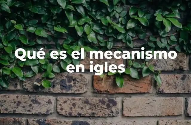 Qué es el Mecanismo en Igles