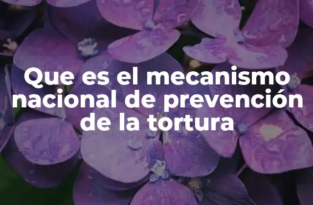 Que es el Mecanismo Nacional de Prevención de la Tortura