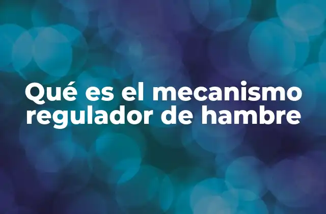 Qué es el Mecanismo Regulador de Hambre 2 Cómo el cuerpo interpreta las señales de hambre