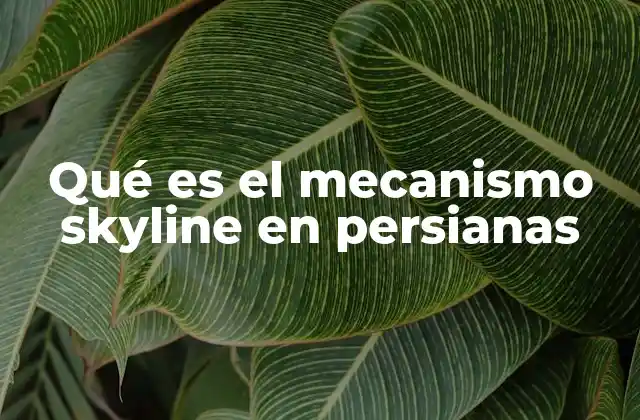 Características del mecanismo skyline